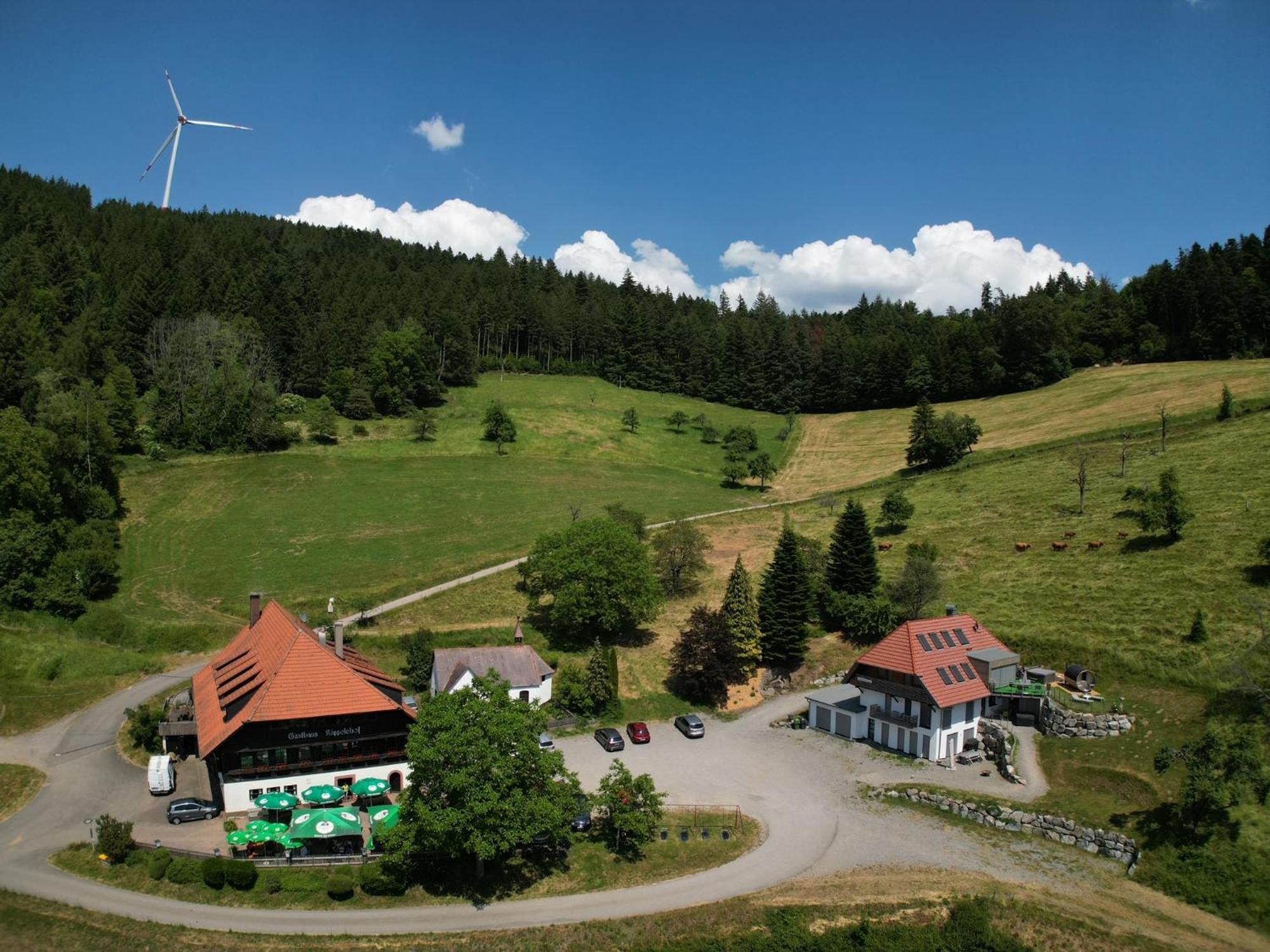 Ferienhaus Wendelinus Mit Pool & Sauna Hausach Exterior photo